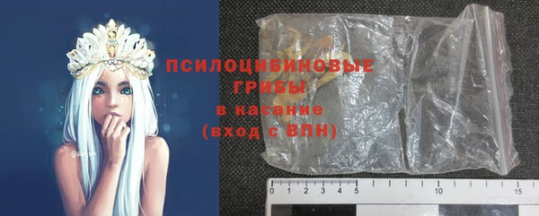 mdpv Бородино