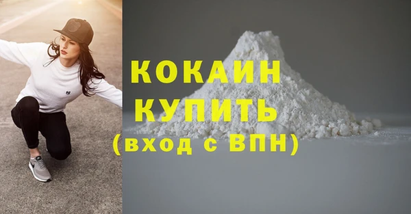 гидра Бронницы