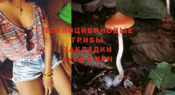 гидра Бронницы