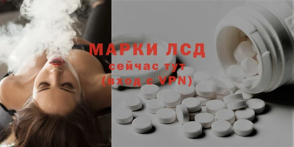 гидра Бронницы