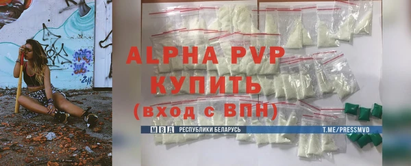 mdpv Бородино