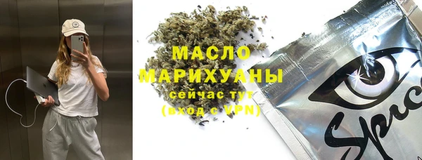 mdpv Бородино