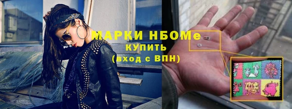mdpv Бородино